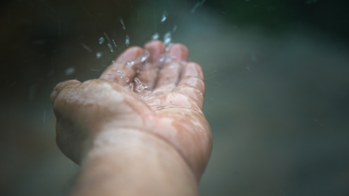 19. Généraliser Le Recours à L’eau De Pluie Et Aux Autres Alternatives Pour Les Wc