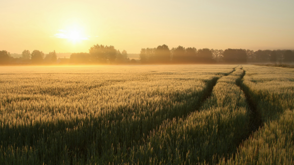 24. Garantir L’accès à La Terre Aux Jeunes Agriculteurs