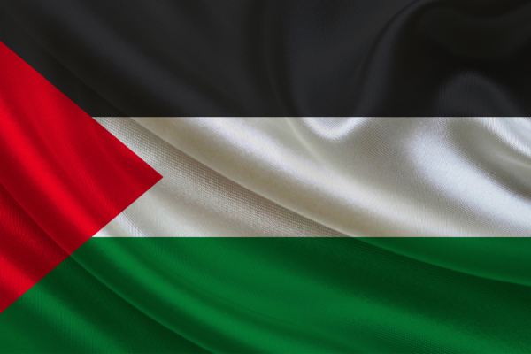 Palestine Les Engagés
