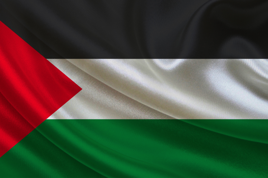 Palestine Les Engagés