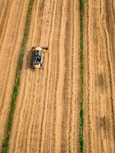 Agriculture Mercosur