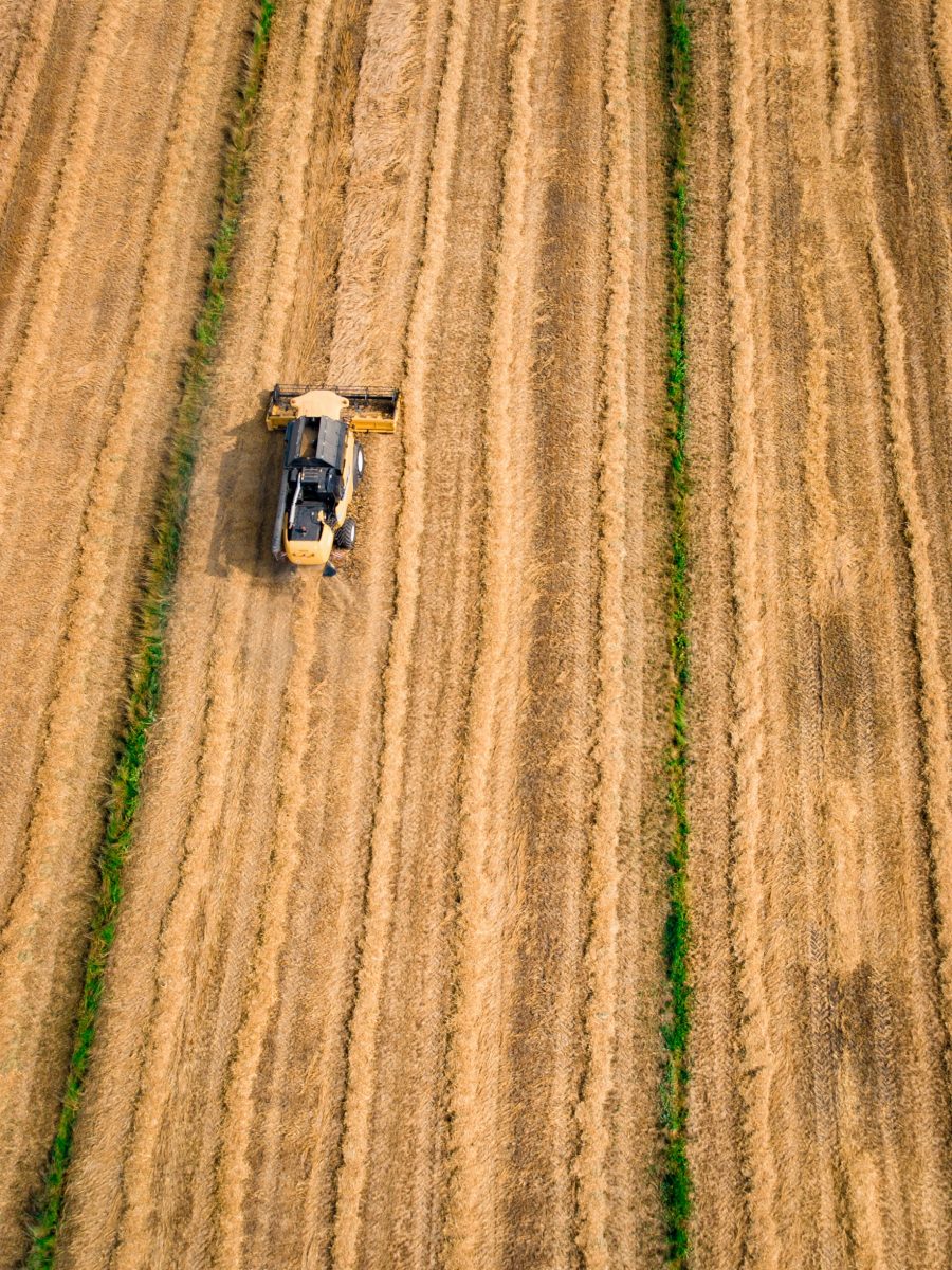 Agriculture Mercosur