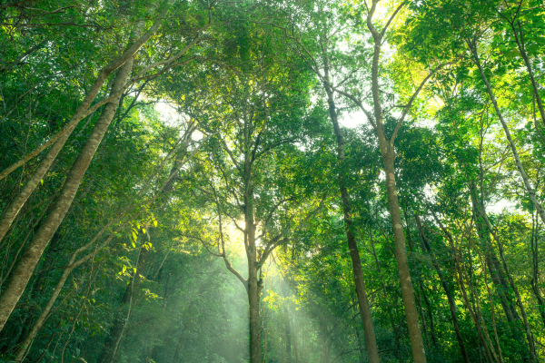 Nature et biodiversité