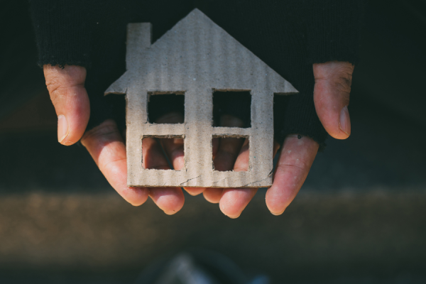 Vignettes Site Web (2)