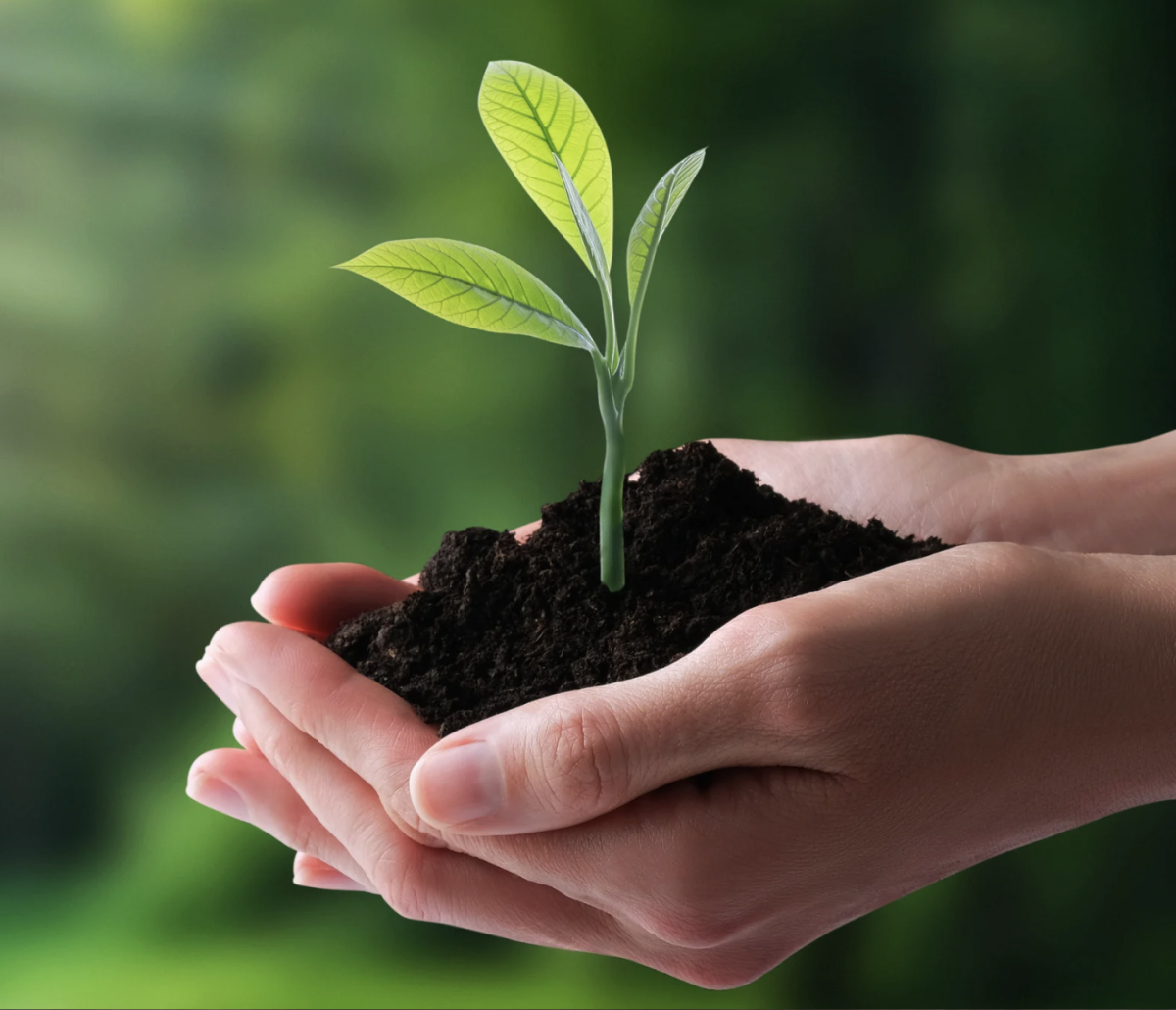 Capture D’écran 2025 12 24 À 11.15.04